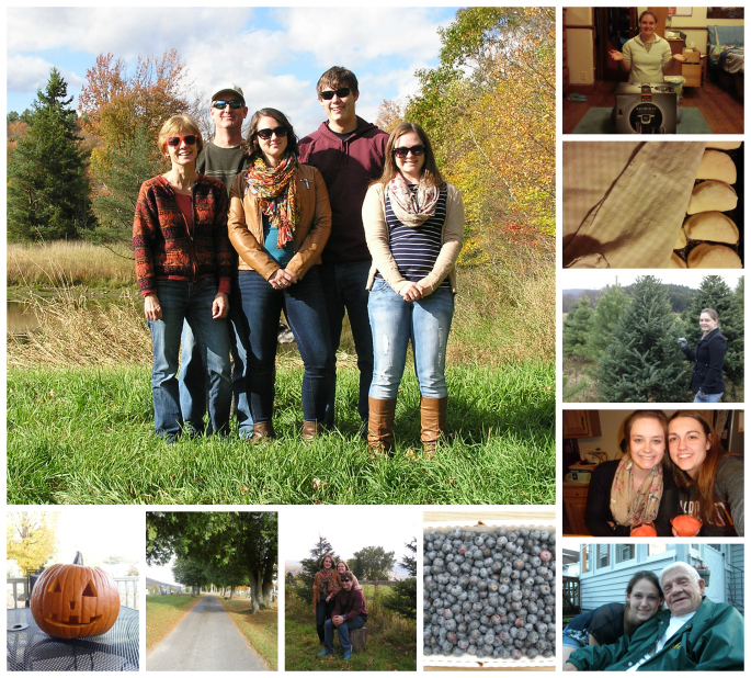 Clockwise from top left: our family in October at the tree farm, I won a Keurig, making rolls for Thanksgiving, picking out our Christmas tree, hanging out with my best friend on Valentine's Day, my sister and grandpa, picking blueberries, my siblings, walk in the cemetery, carving pumpkins