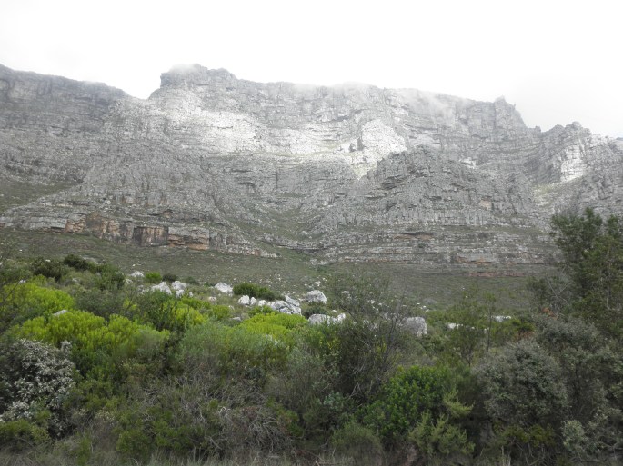 View of Table Mountain from the bottom