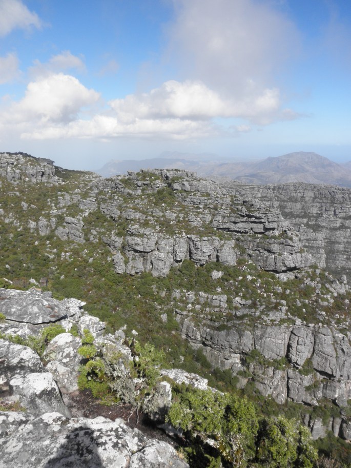 View from top of Table Mountain
