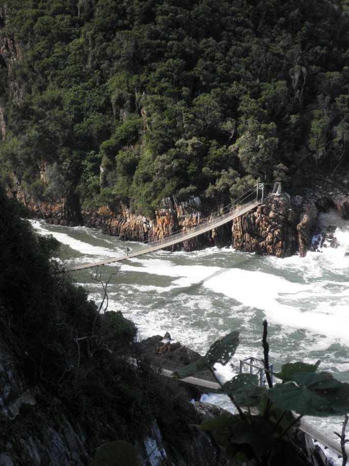 Suspension Bridge at Tsitsikamma National Park
