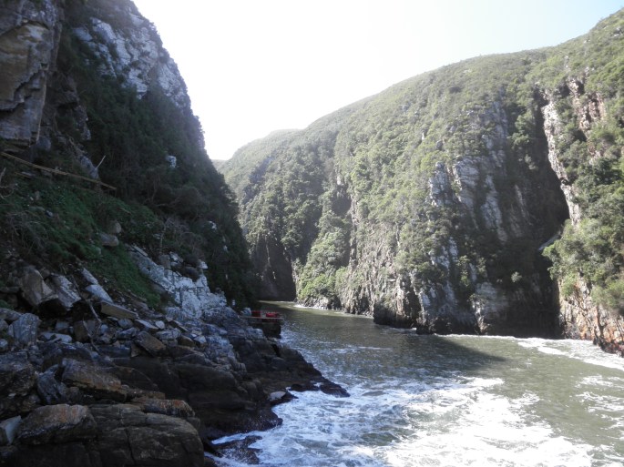 View from suspension bridge at Tsitsikamma National Park
