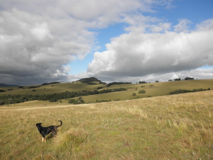 Our hike at Elundini Backpackers