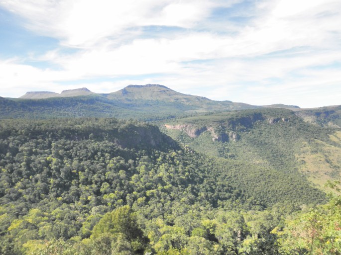 View from lookout on trail in Hogsback