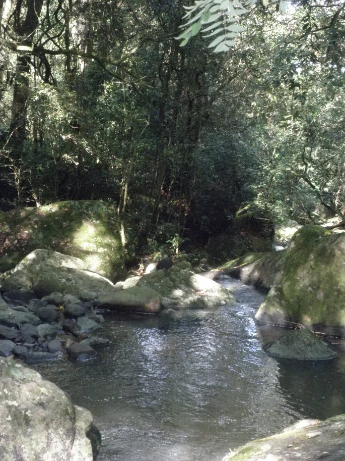 Our hike in Hogsback