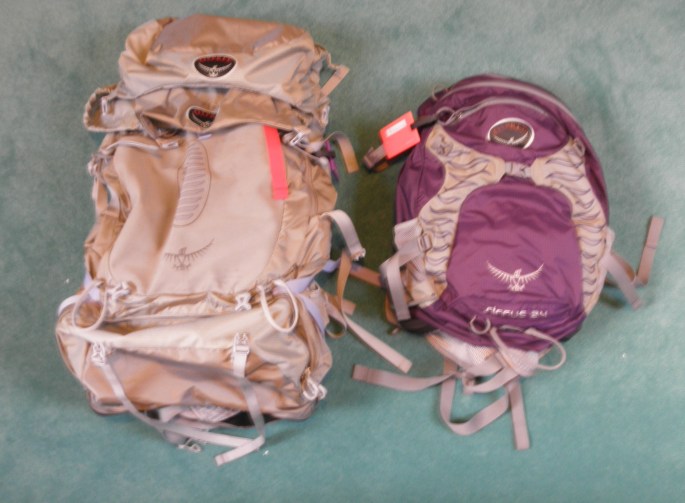 Packing for South Africa