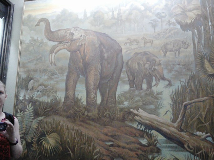 Painted image of the Deinotherium at the National Museum of Ethnography and Natural Science