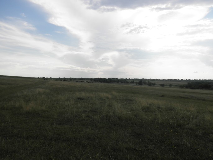 The beautiful, peaceful fields in Festelita