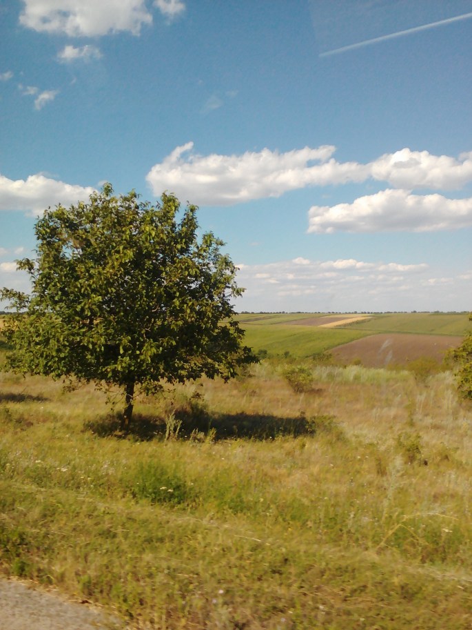 Yep! Moldova is beautiful!