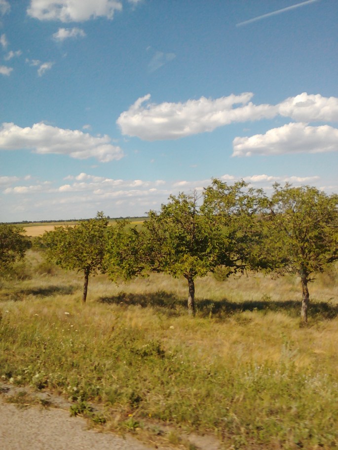 Green fields and blue skies