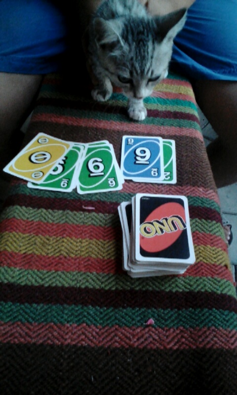 Playing Uno with Mac, the cat...but actually with my host brother