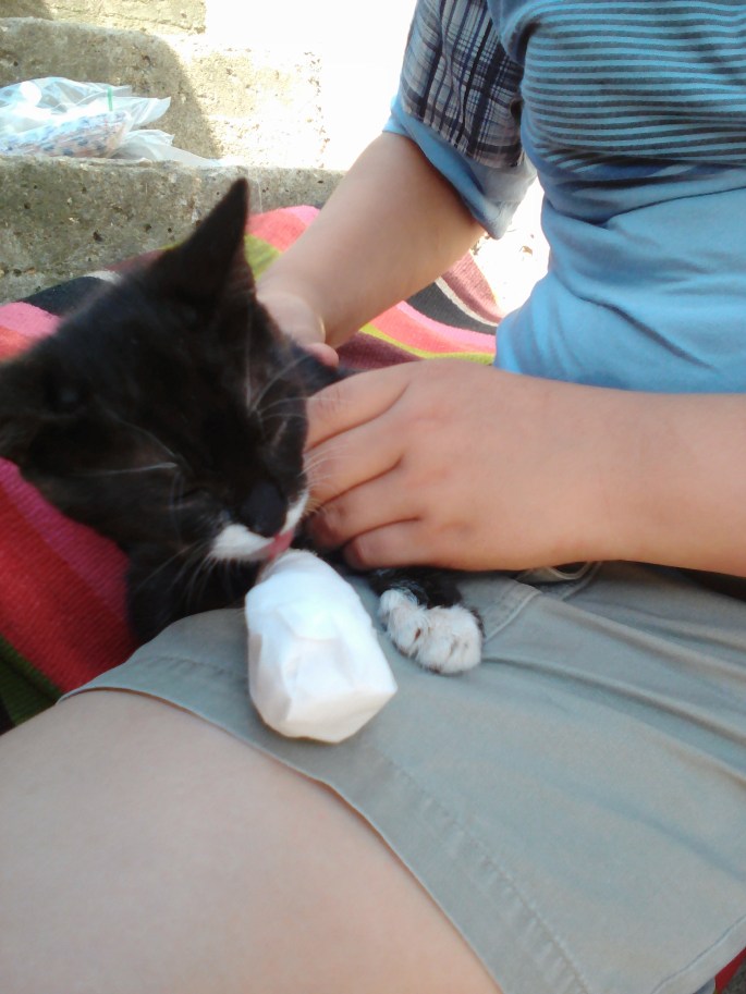 Junior with his bandaged paw- which is all healed up and fine now!