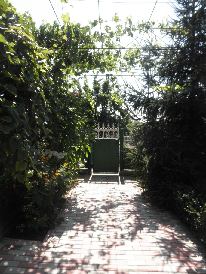 The gate and path to the house at my new home.
