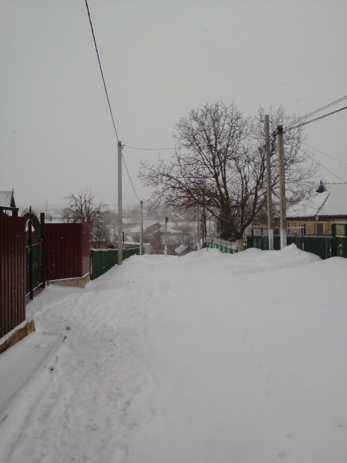 Our road near our house