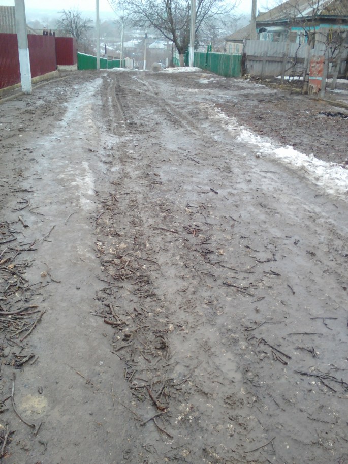 Our muddy road on Monday