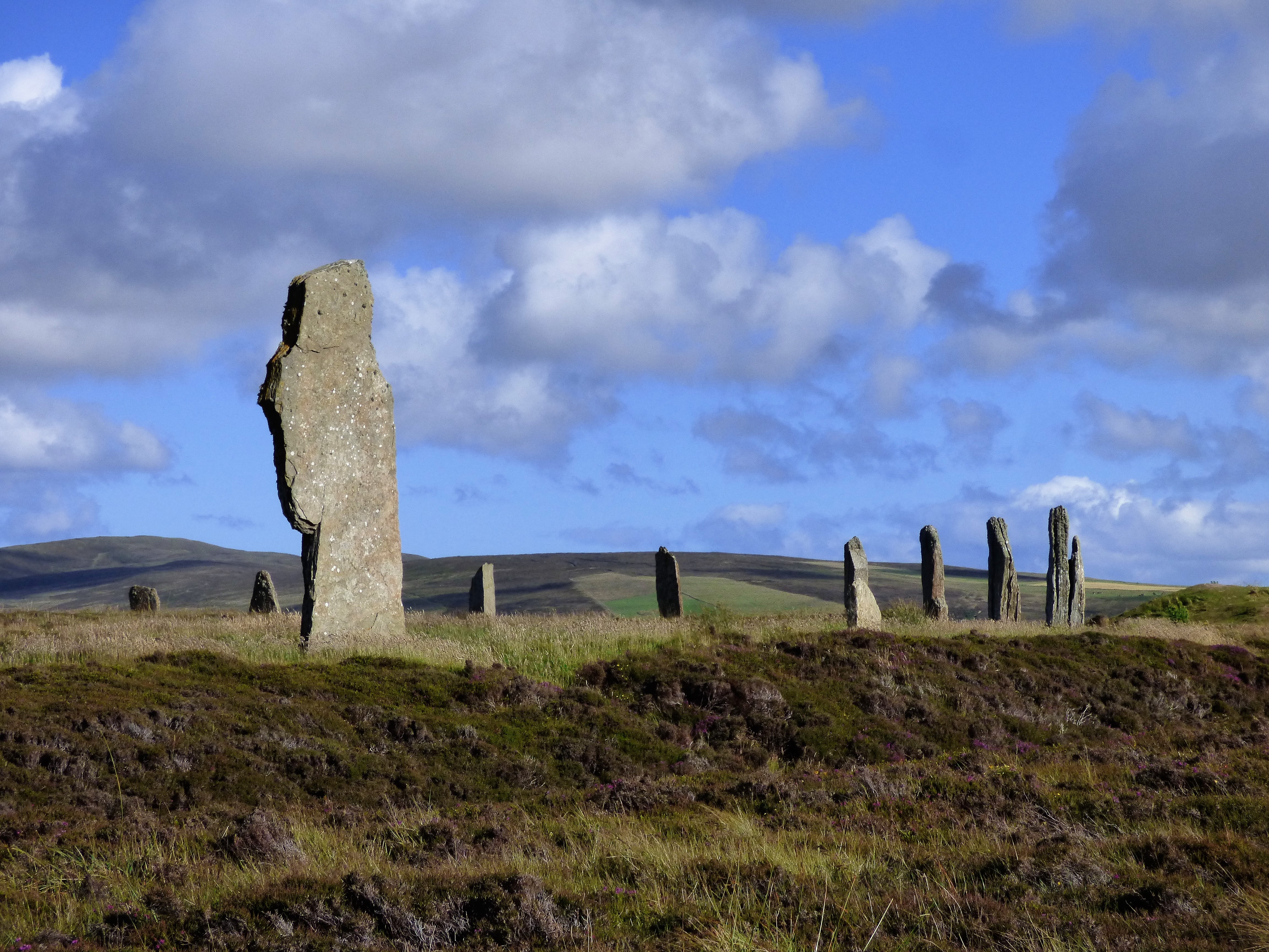 2022-07-15 18.14.56-01